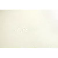 Ламинат Quick-Step Muse Ultra 33 класс Известняк MUU5487